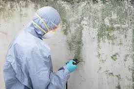 Best Biohazard Mold Removal  in Belle Isle, FL